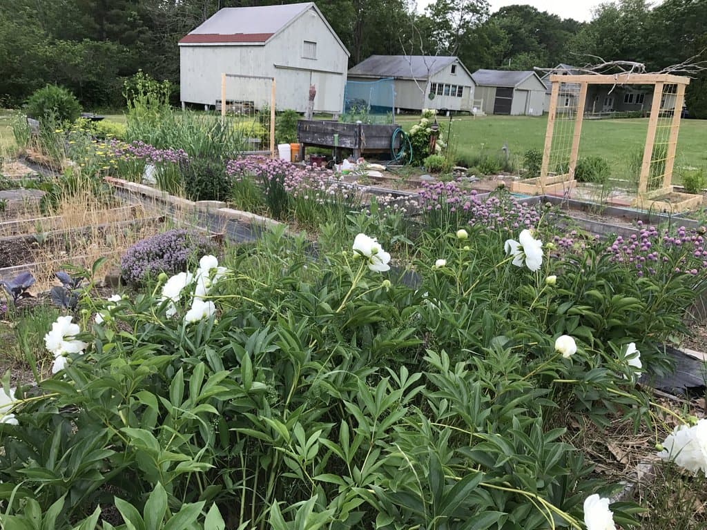 garden photos and museum/administrative buildings in background
