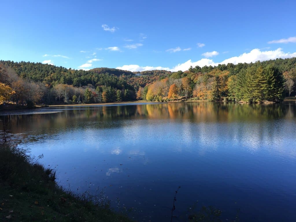 Bass Lake