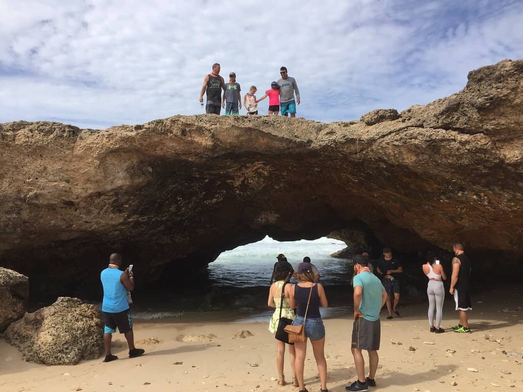 Exotic Animal Encounters