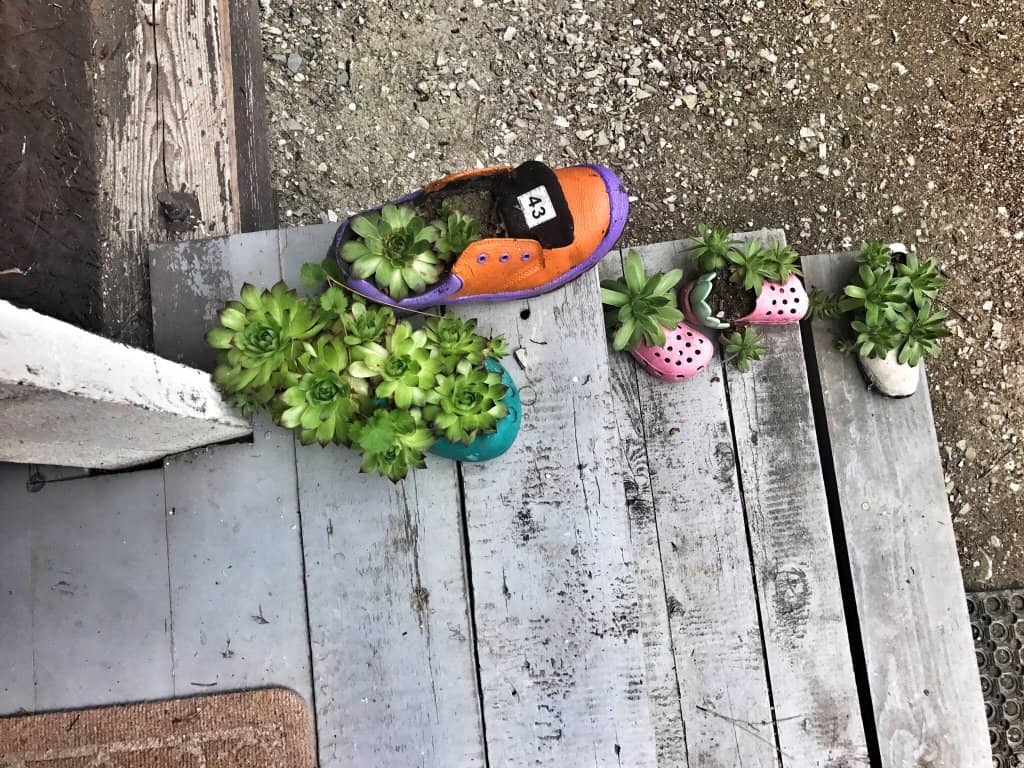 Interactive Workshop