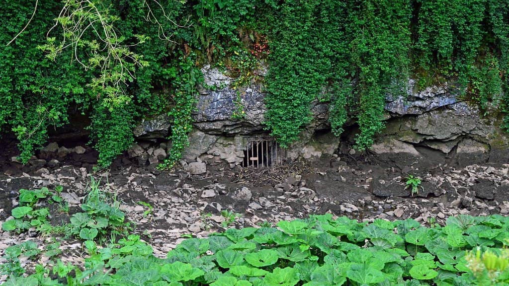 Panoramic Valley Views