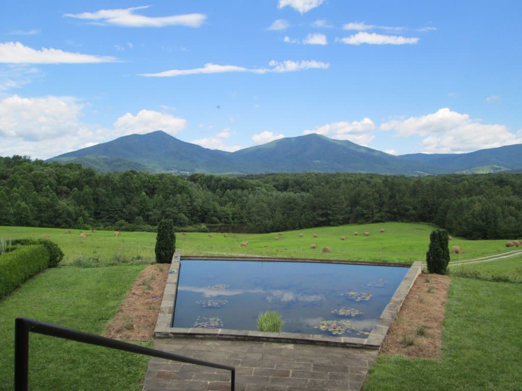 Fish pond view