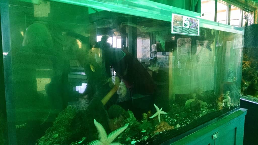 Interactive Touch Pool
