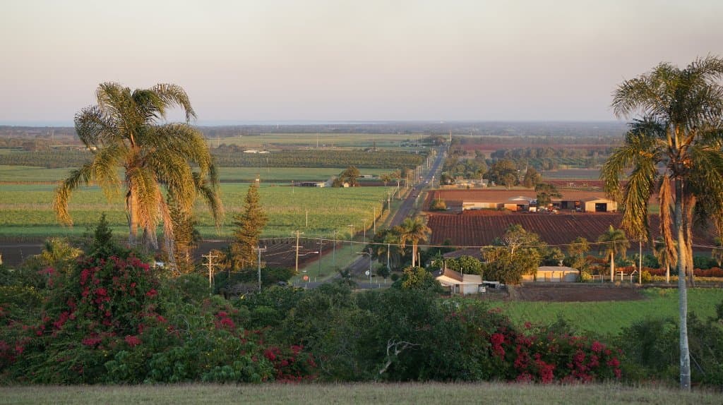 The road to Bundaberg.