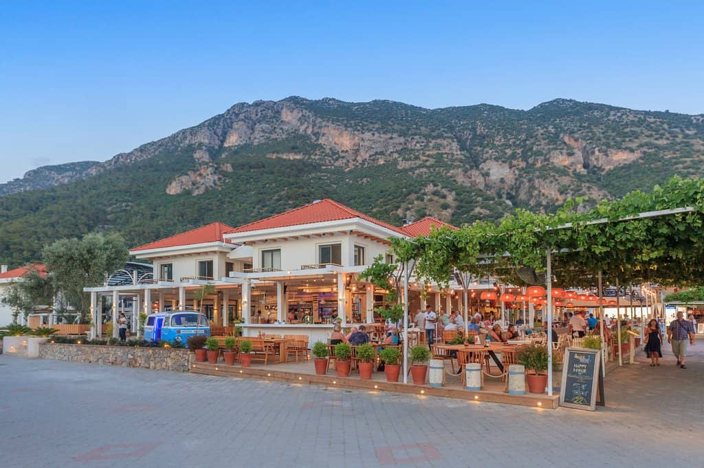 Flavorful Kebab Platters