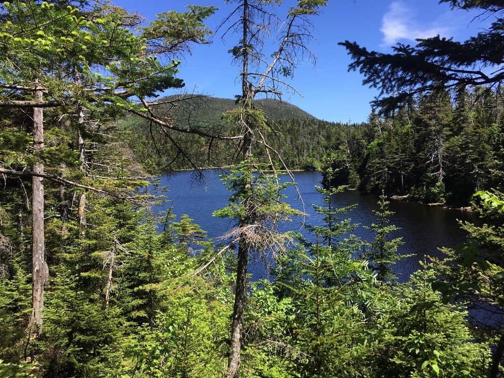 The Notch Road Drive