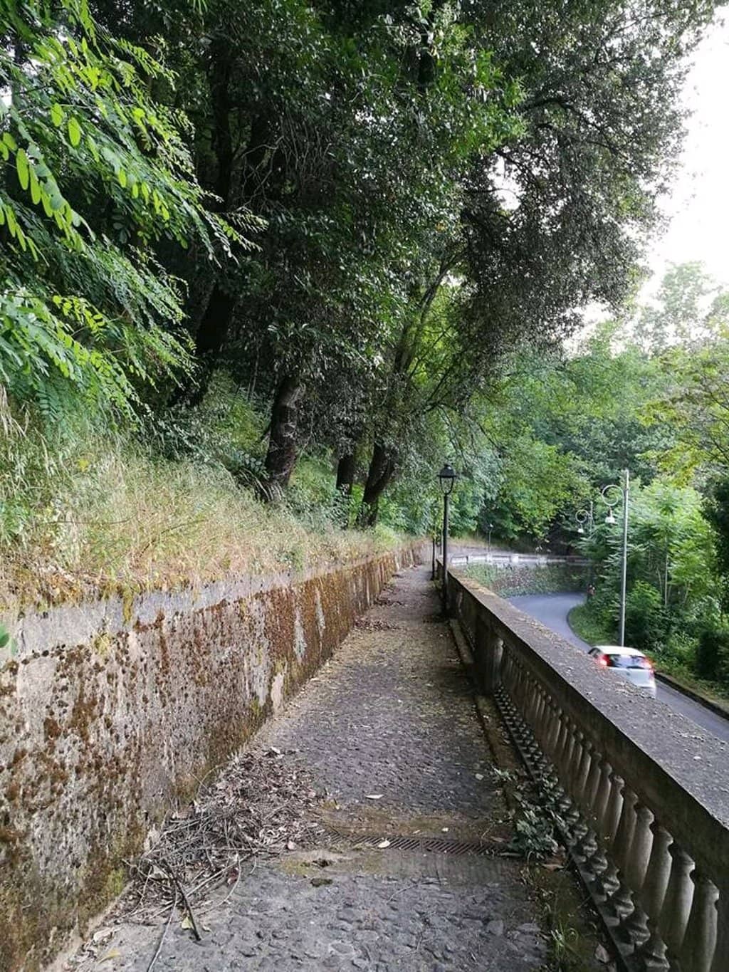 Exotic Flora and Fauna