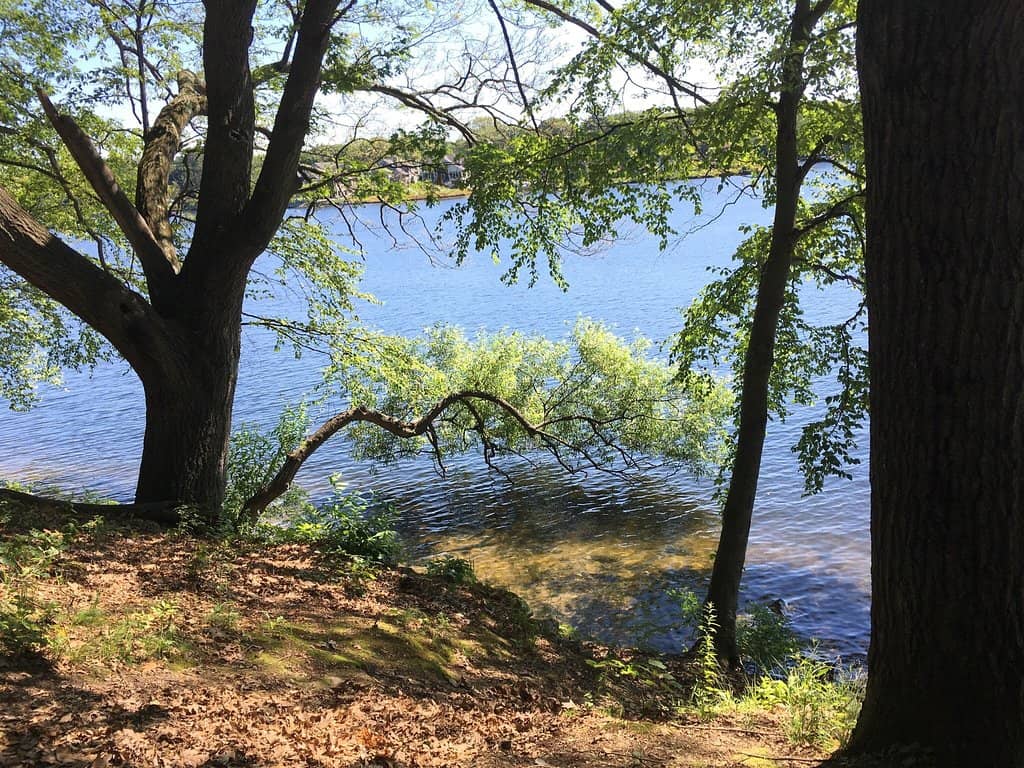 Picnic and Grill Facilities