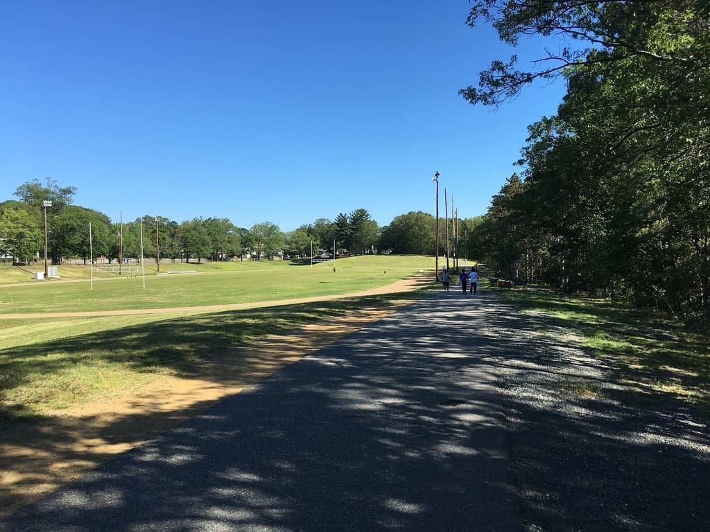 Pedal Boat to Ice Cream