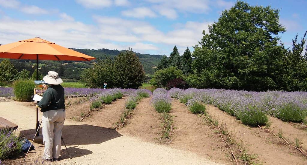 Bocce Court