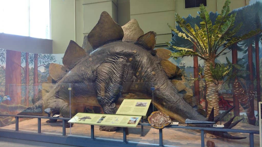 Mastodon Skeleton