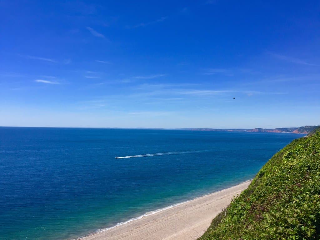 View from the cliff walk