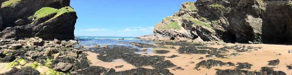 Expansive Sandy Shore