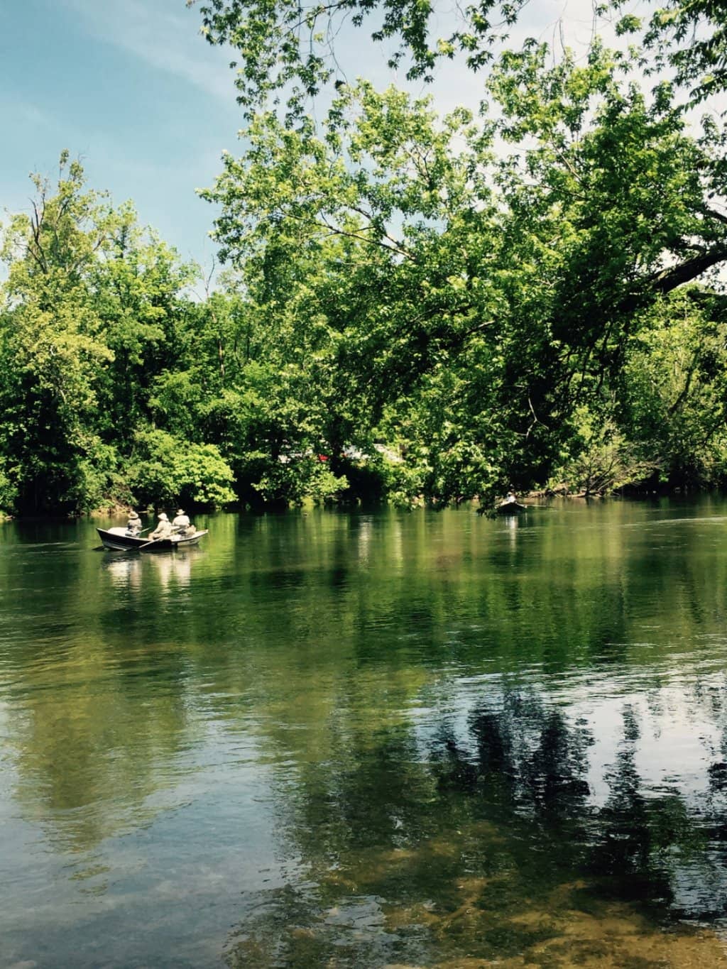 Watauga River Trail