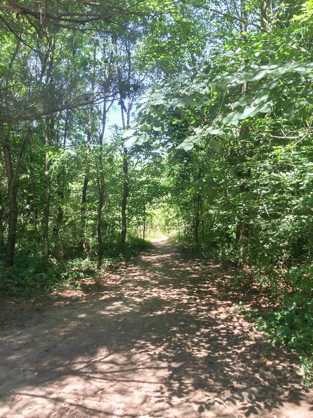 Meadow and Wetland Views