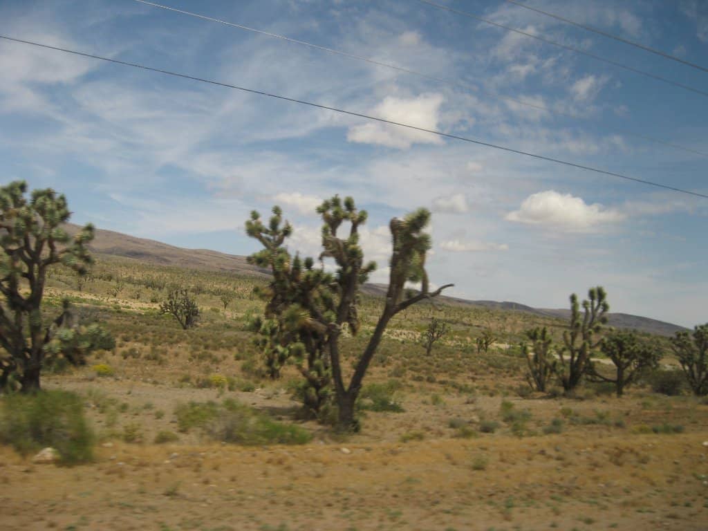 Boating & Water Sports