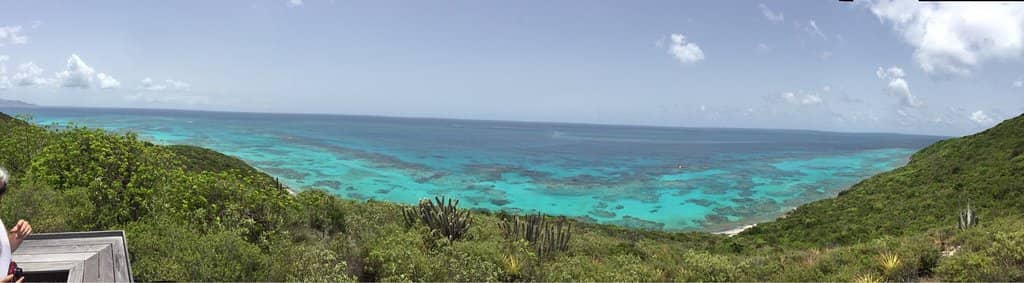 Abundant Marine Life