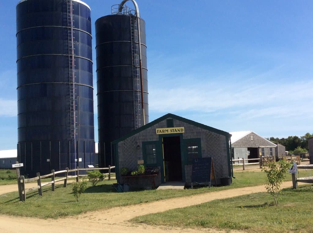 Farm stand at the Farm Institute