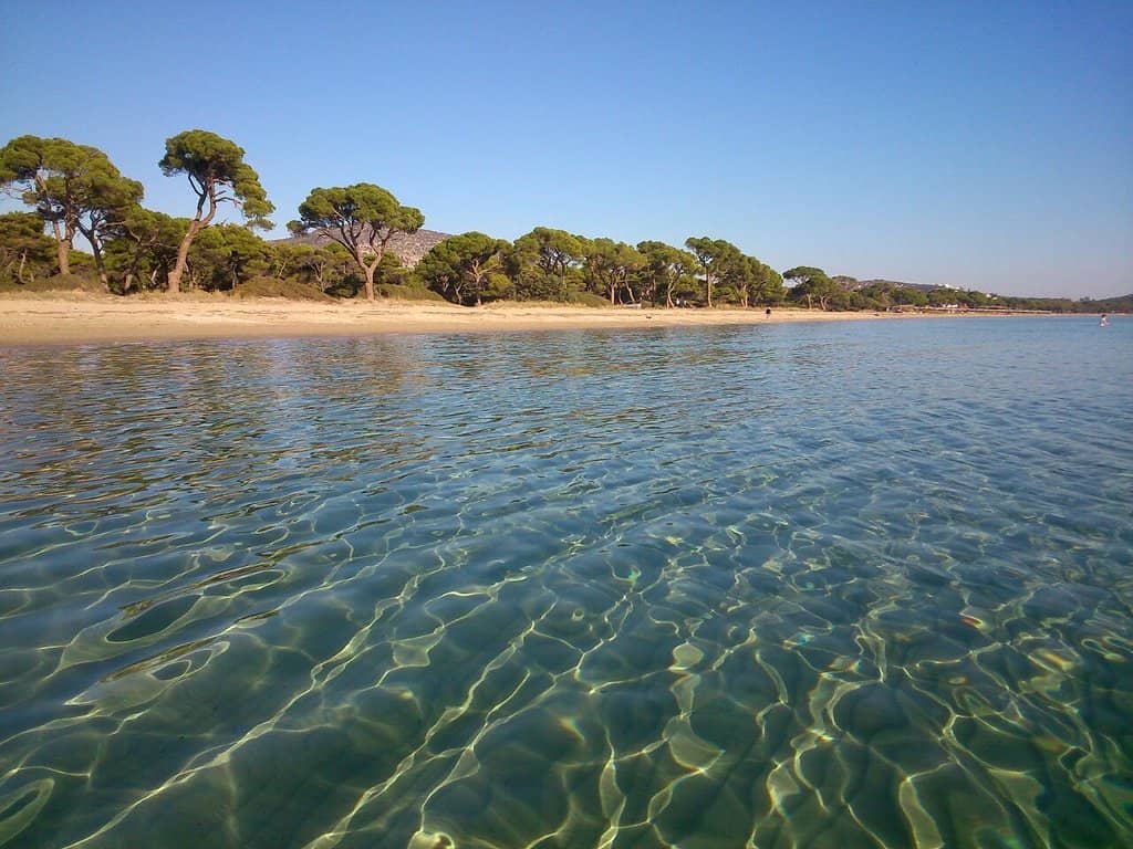 Expansive Golden Sands