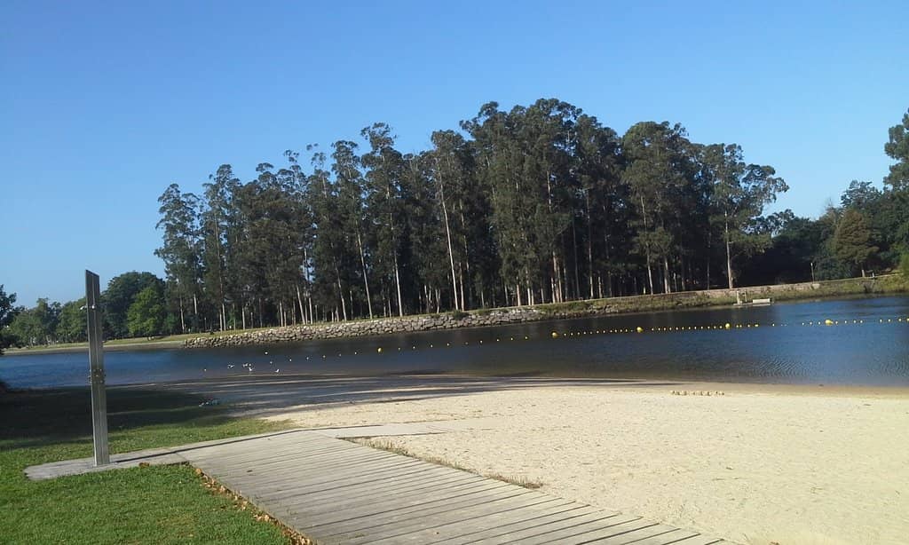 Nature Appreciation Spot