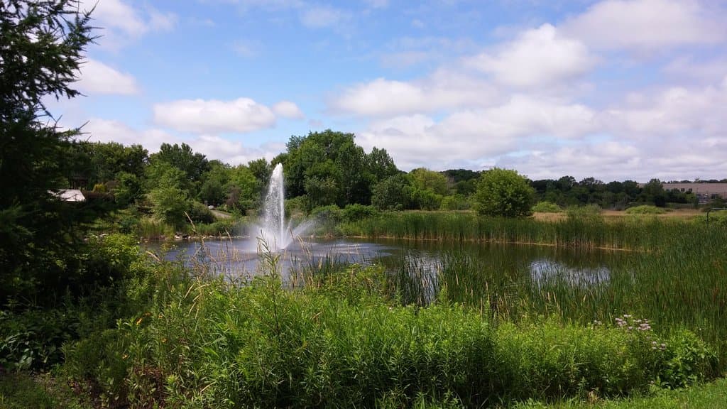 Beautiful and peaceful surroundings!