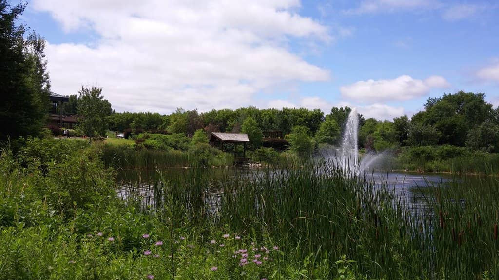 Peaceful Pondside Relaxation