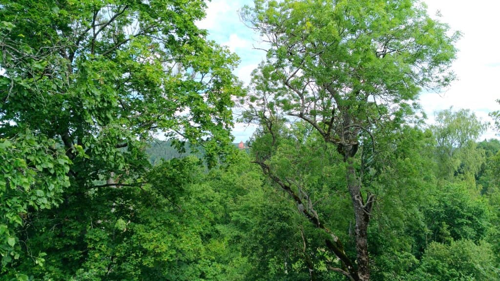 Historical Significance