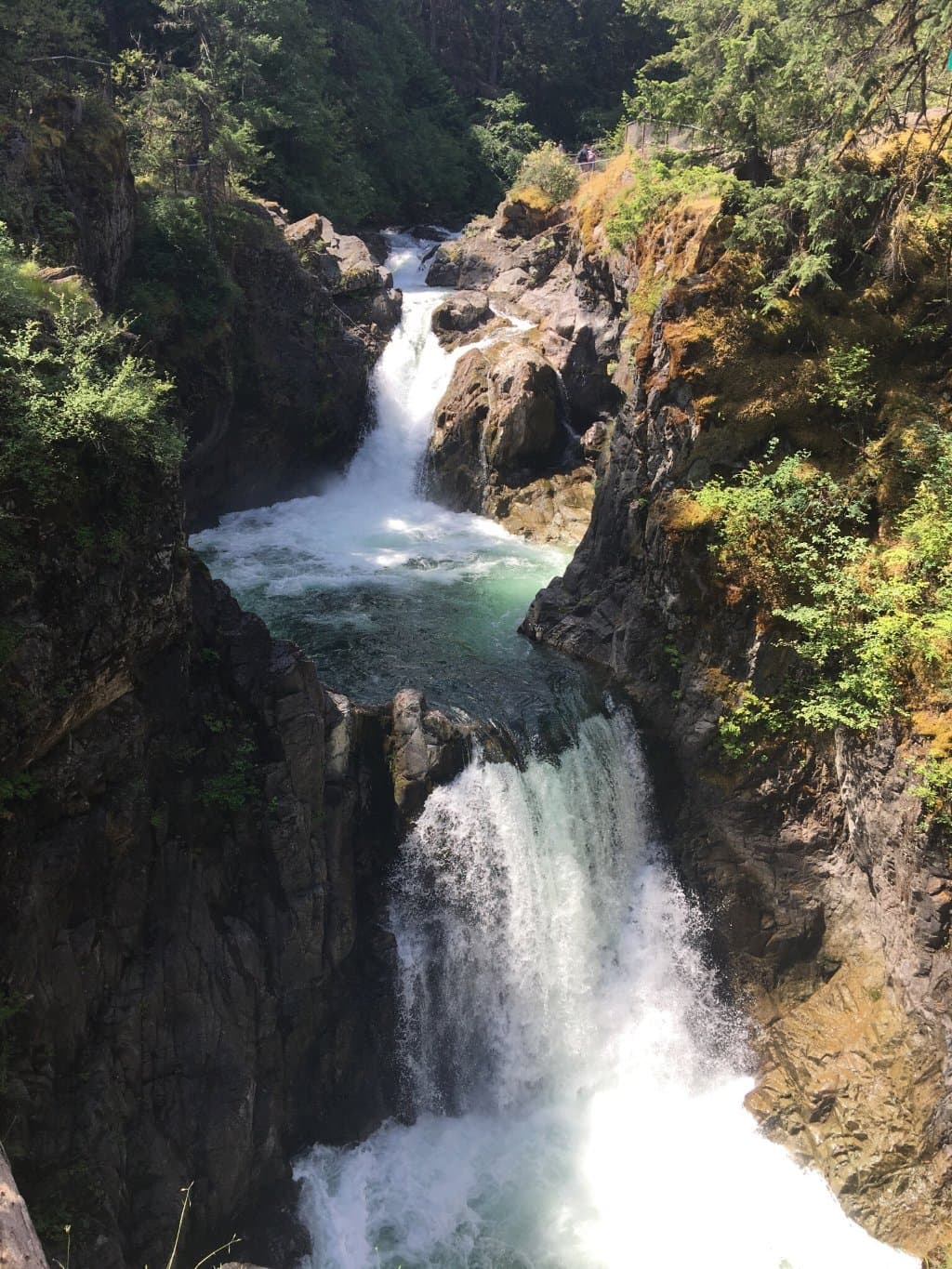 Little Qualicum Falls Provincial Park BC