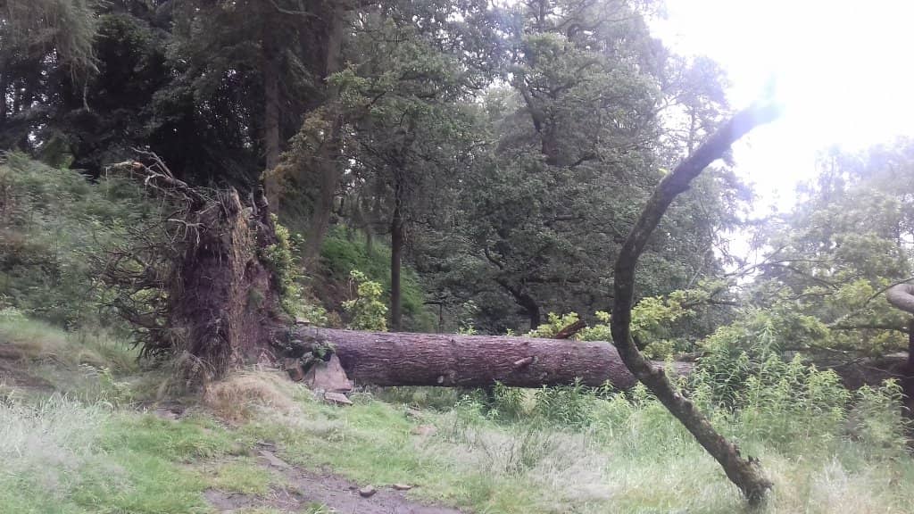 Ruins of Errwood Hall