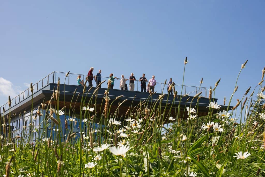 Rooftop Living Roof