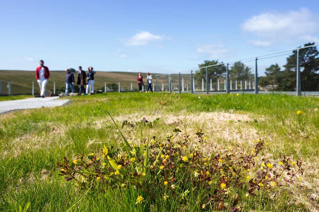 Interactive Exhibits