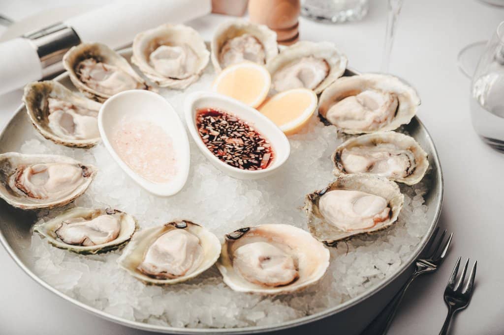 Unique Seagull Deterrent