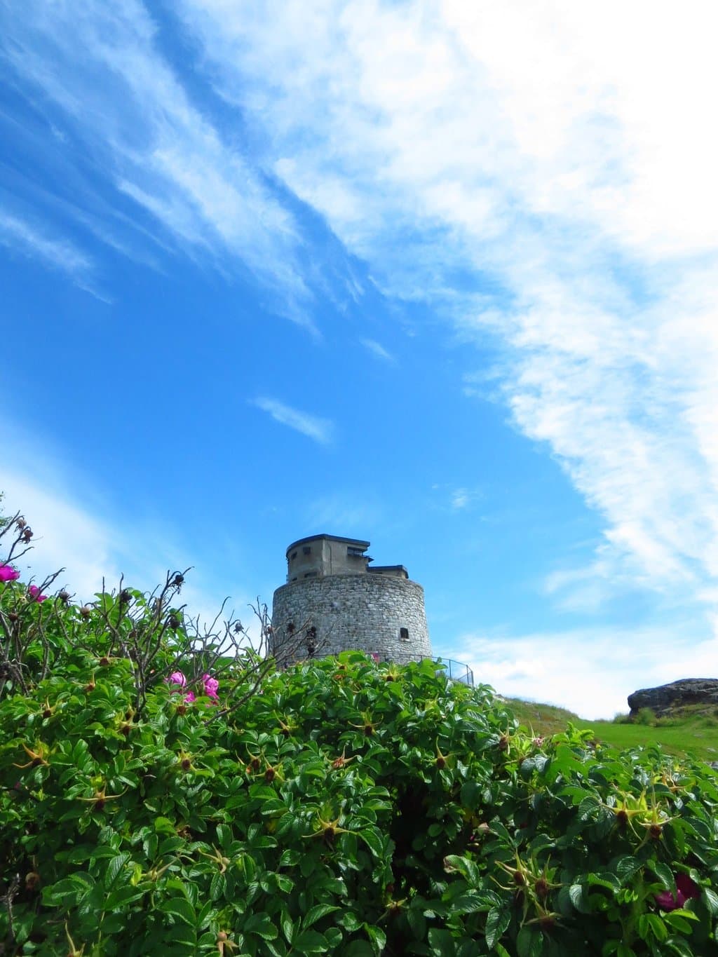 The tower
