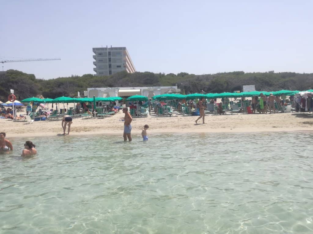 Pristine Sandy Shores