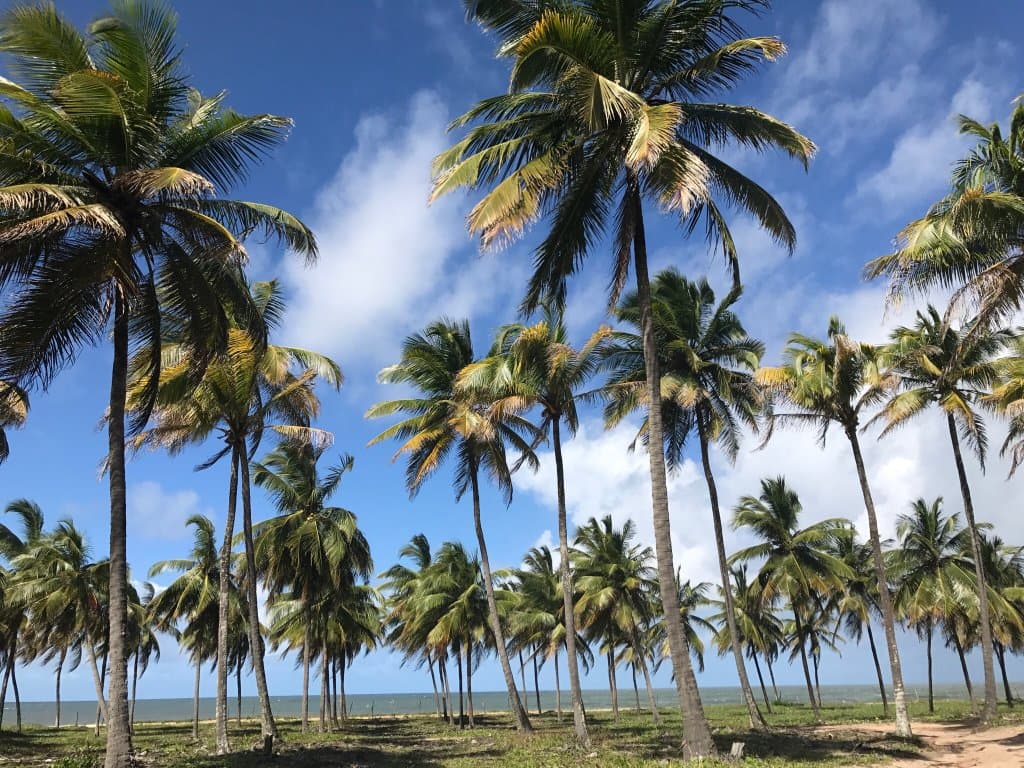 Pontal de Maracaípe