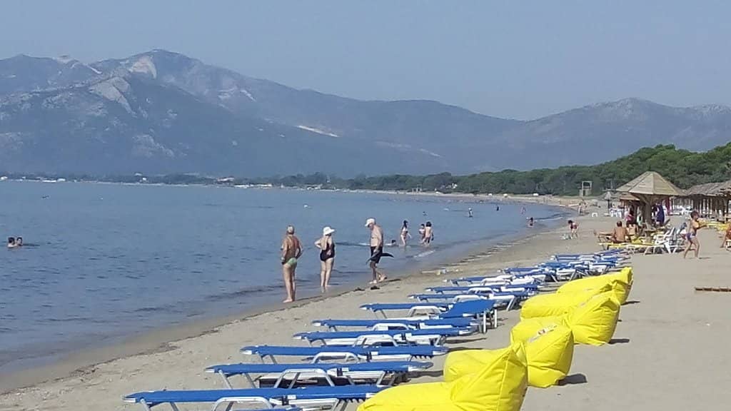 Tranquil Swimming Waters