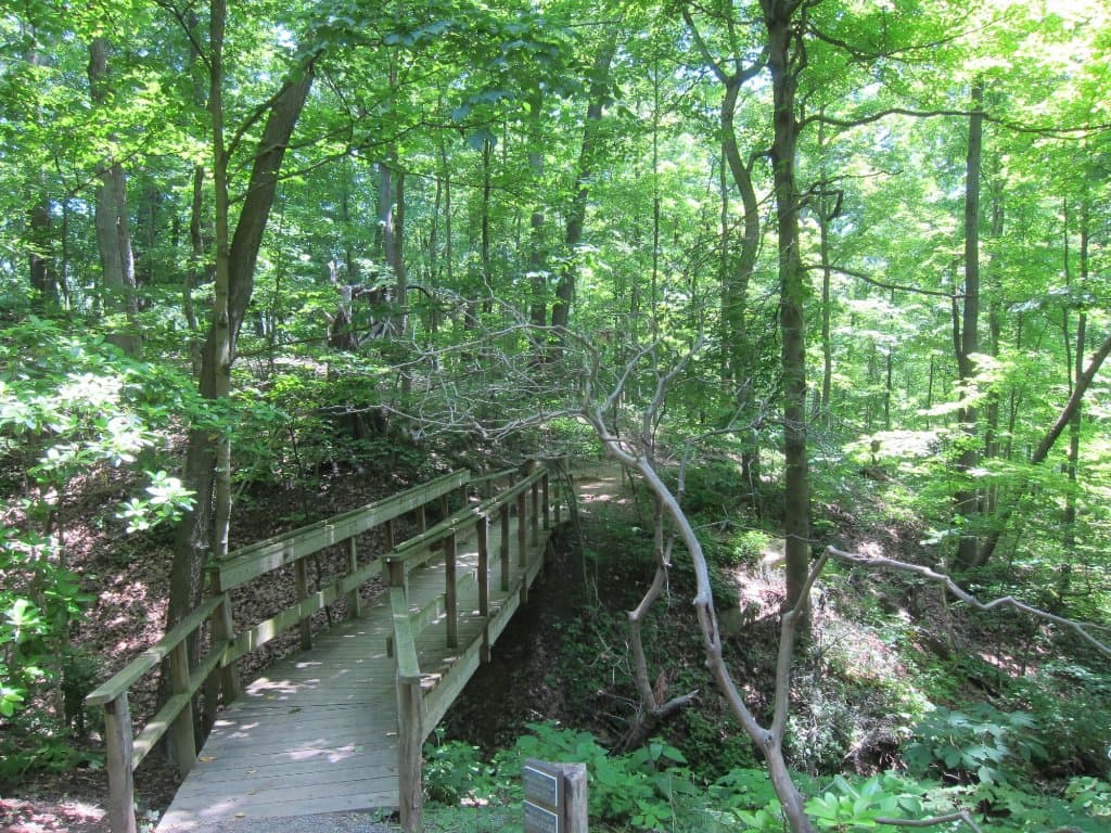 Earl L. Core Arboretum WVU