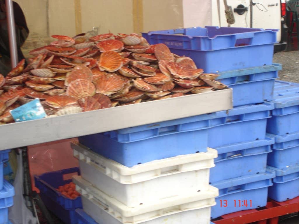 Fresh Produce Galore