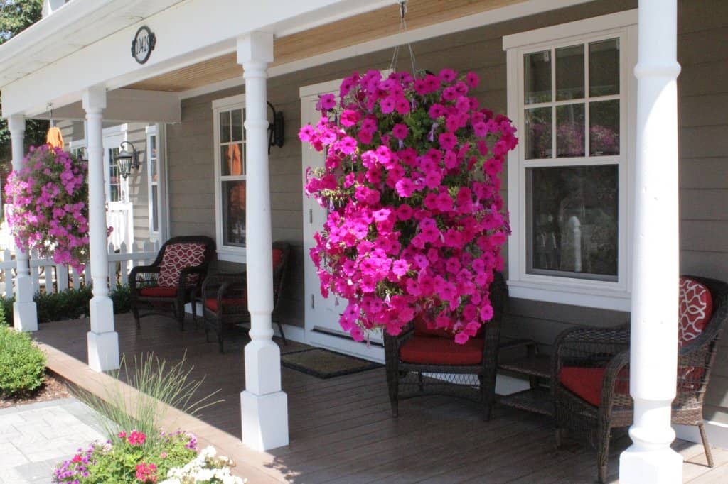 Gourmet Italian Dining