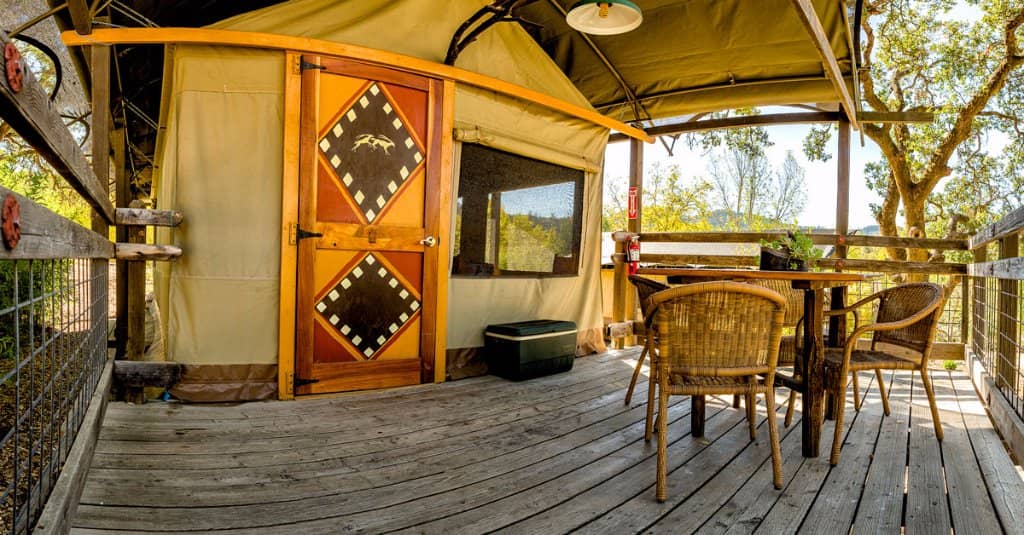 Open-Air Safari Tour