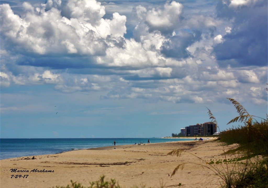 Avalon Beach Park