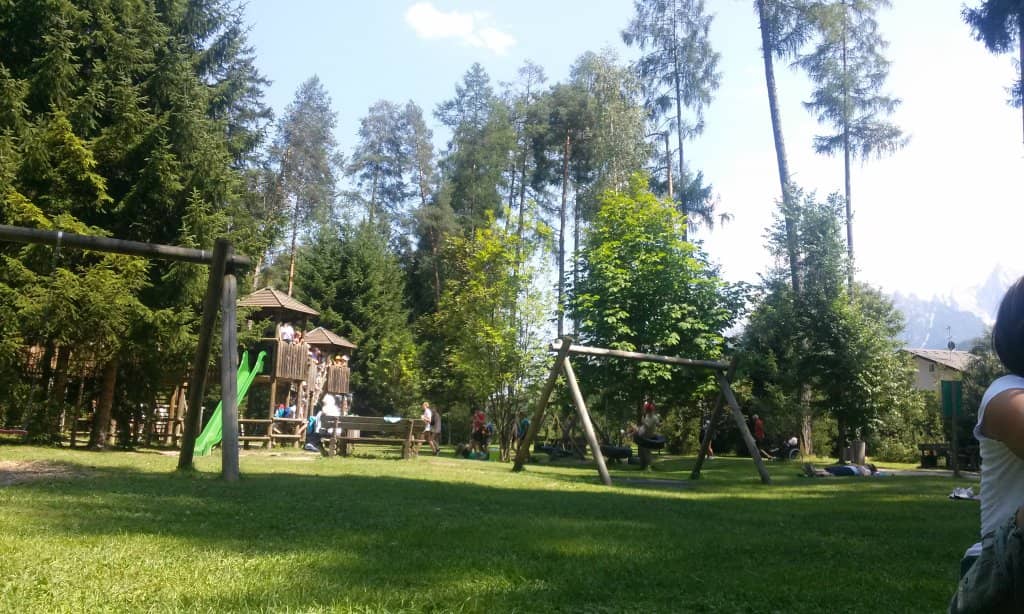 Vertical photo