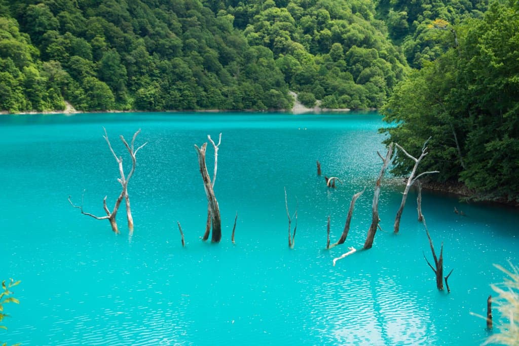 八月 白水湖