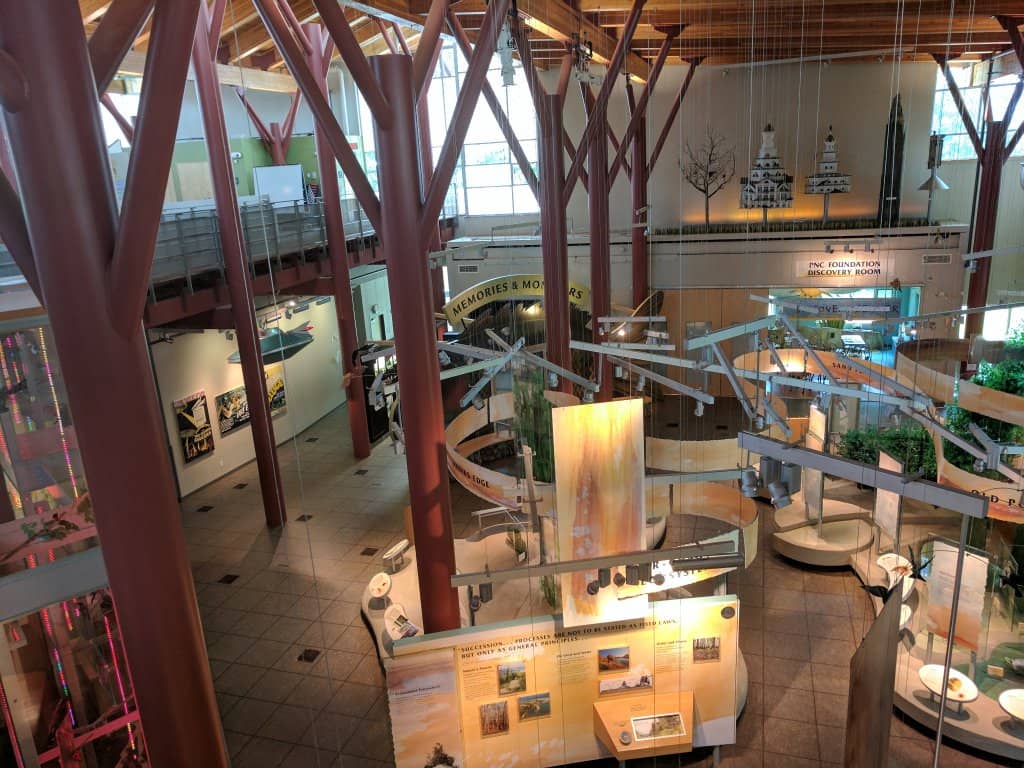 Observation Tower Views