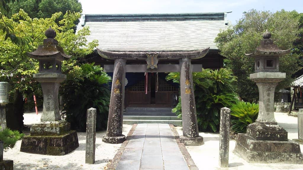 Fox Wedding Night Walk