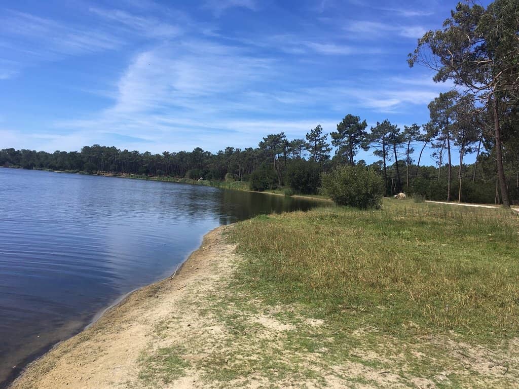 Picnic Spots