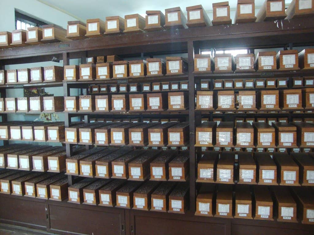 Buleleng Museum Artifacts