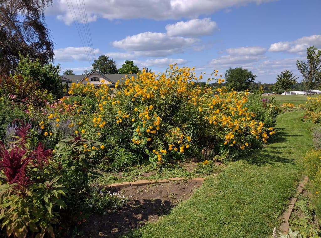 Cedar Valley Arboretum