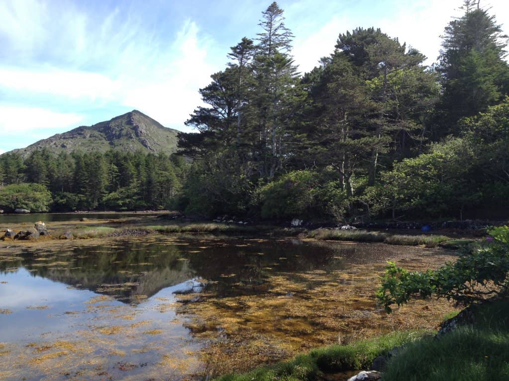 Kilmackillogue Harbour Views