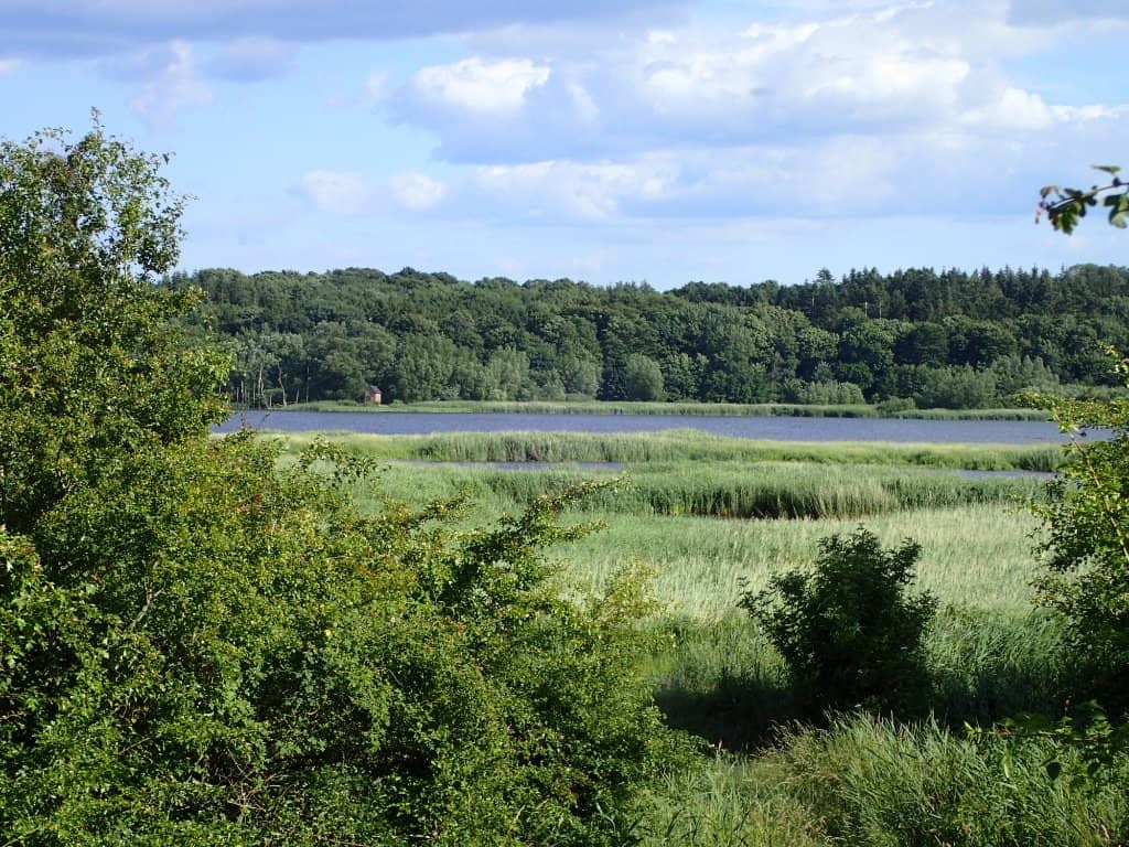 Årslev Lake